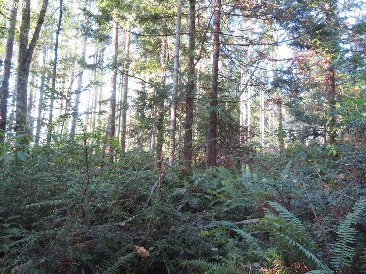Lester Road Silverdale, WA 98383 - Photo 12 of 28 Gallery Image 12