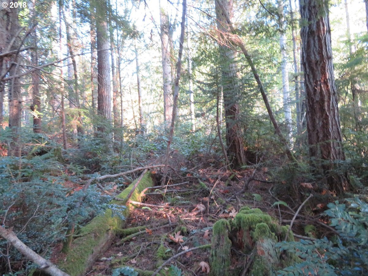 Lester Road Silverdale, WA 98383 - Photo 13 of 28 Gallery Image 13