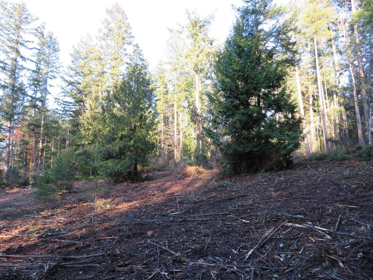 Lester Road Silverdale, WA 98383 - Photo 15 of 28 Gallery Image 15