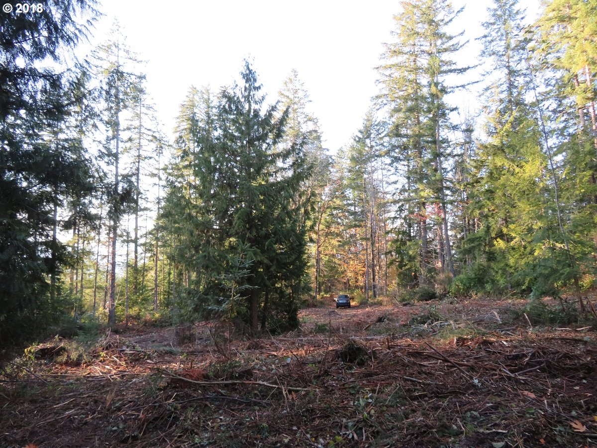 Lester Road Silverdale, WA 98383 - Photo 16 of 28 Gallery Image 16