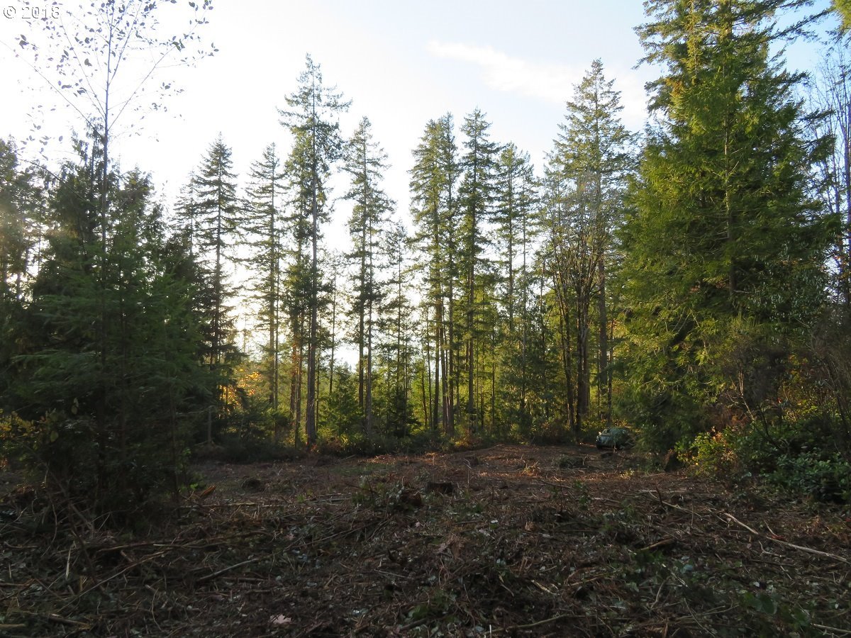 Lester Road Silverdale, WA 98383 - Photo 17 of 28 Gallery Image 17