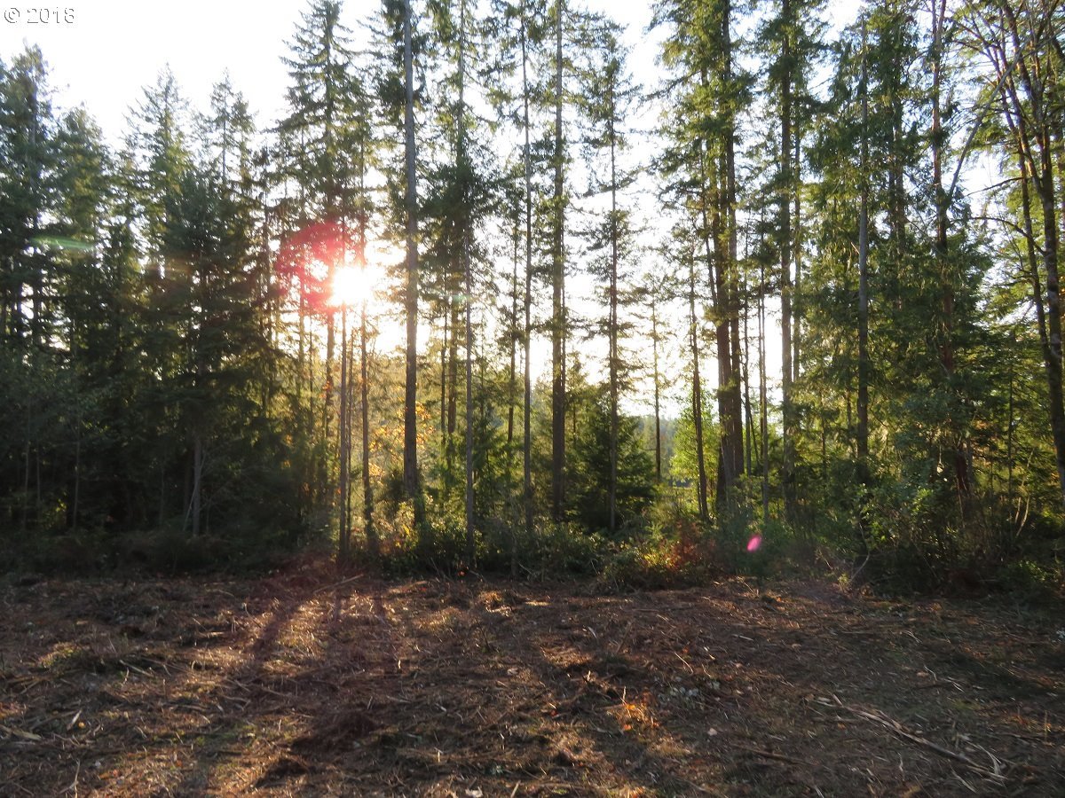 Lester Road Silverdale, WA 98383 - Photo 18 of 28 Gallery Image 18