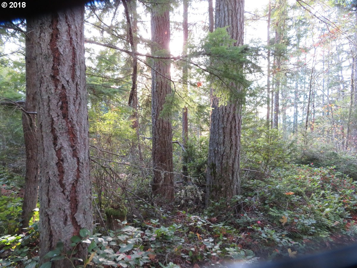 Lester Road Silverdale, WA 98383 - Photo 19 of 28 Gallery Image 19