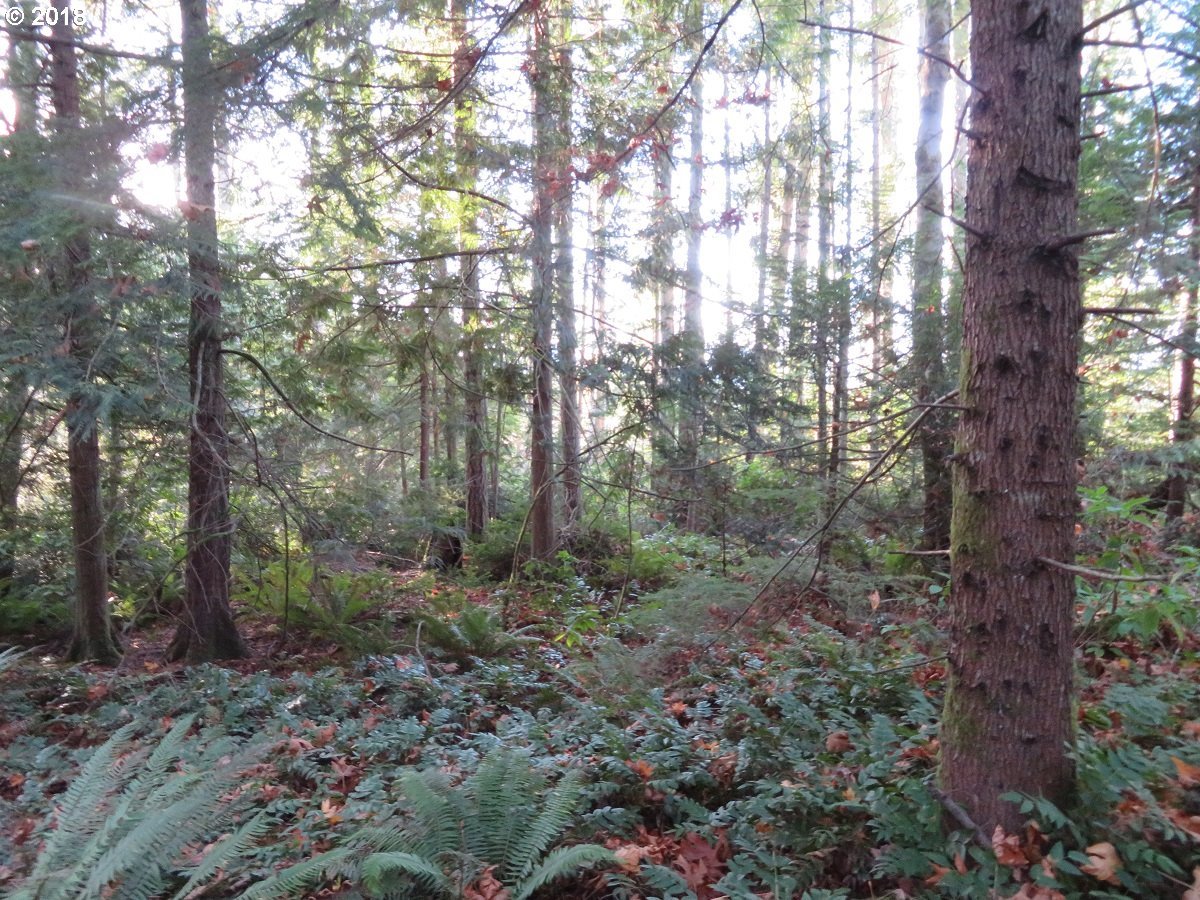 Lester Road Silverdale, WA 98383 - Photo 20 of 28 Gallery Image 20