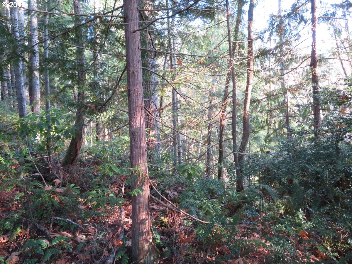 Lester Road Silverdale, WA 98383 - Photo 21 of 28 Gallery Image 21