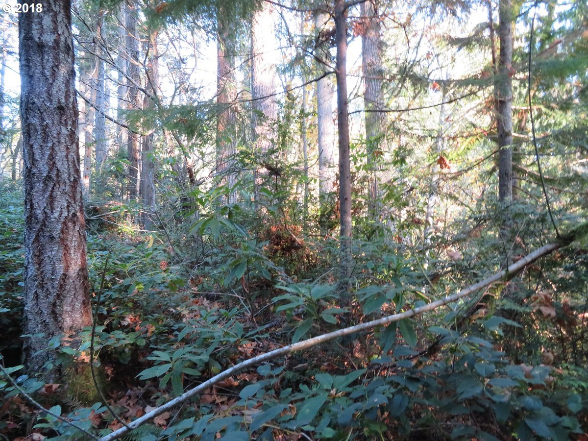 Lester Road Silverdale, WA 98383 - Photo 22 of 28 Gallery Image 22