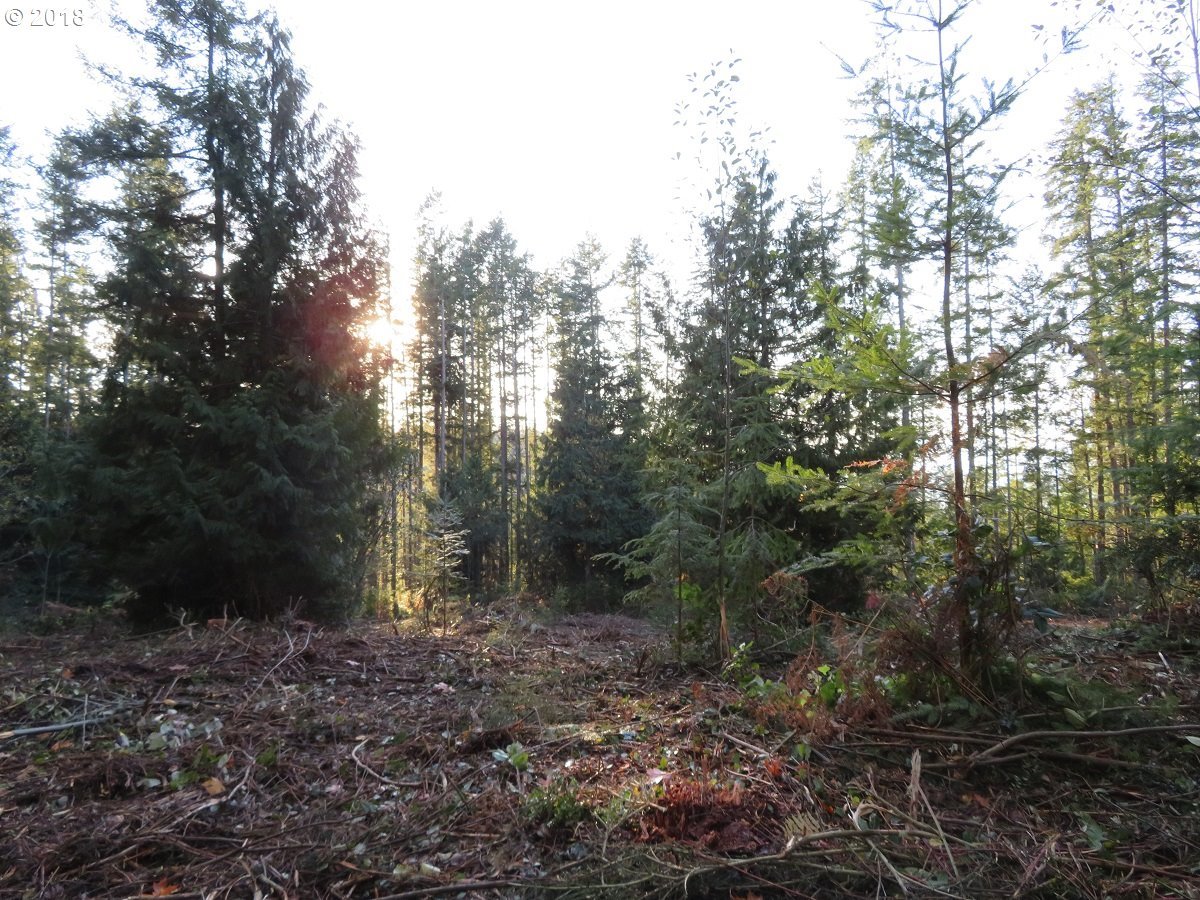 Lester Road Silverdale, WA 98383 - Photo 23 of 28 Gallery Image 23