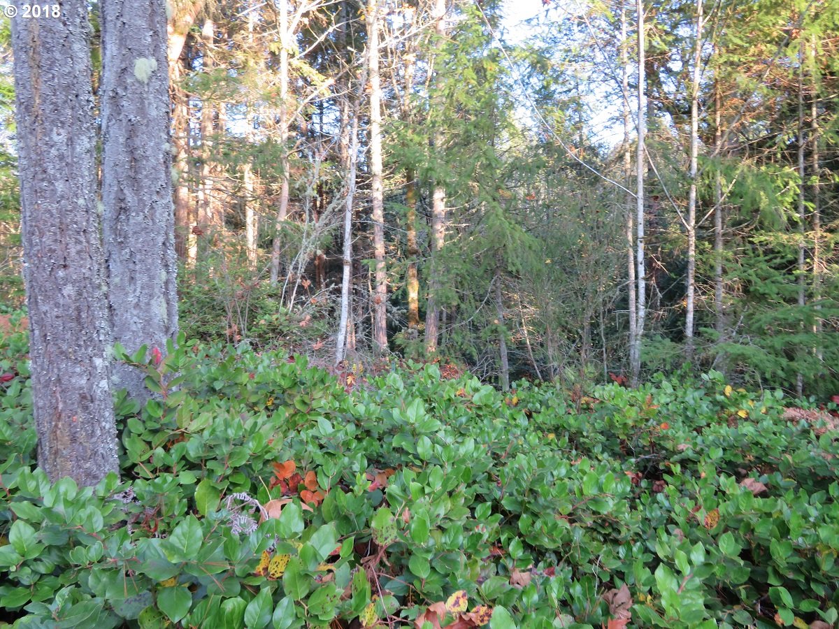 Lester Road Silverdale, WA 98383 - Photo 24 of 28 Gallery Image 24