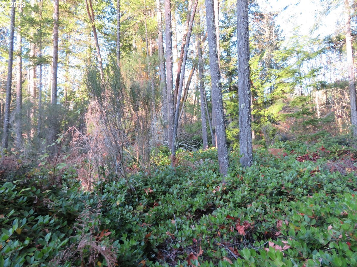 Lester Road Silverdale, WA 98383 - Photo 25 of 28 Gallery Image 25