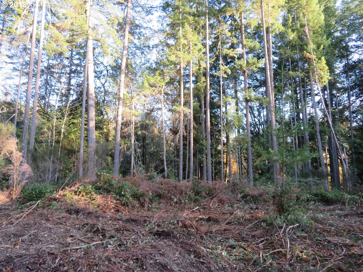 Lester Road Silverdale, WA 98383 - Photo 26 of 28 Gallery Image 26