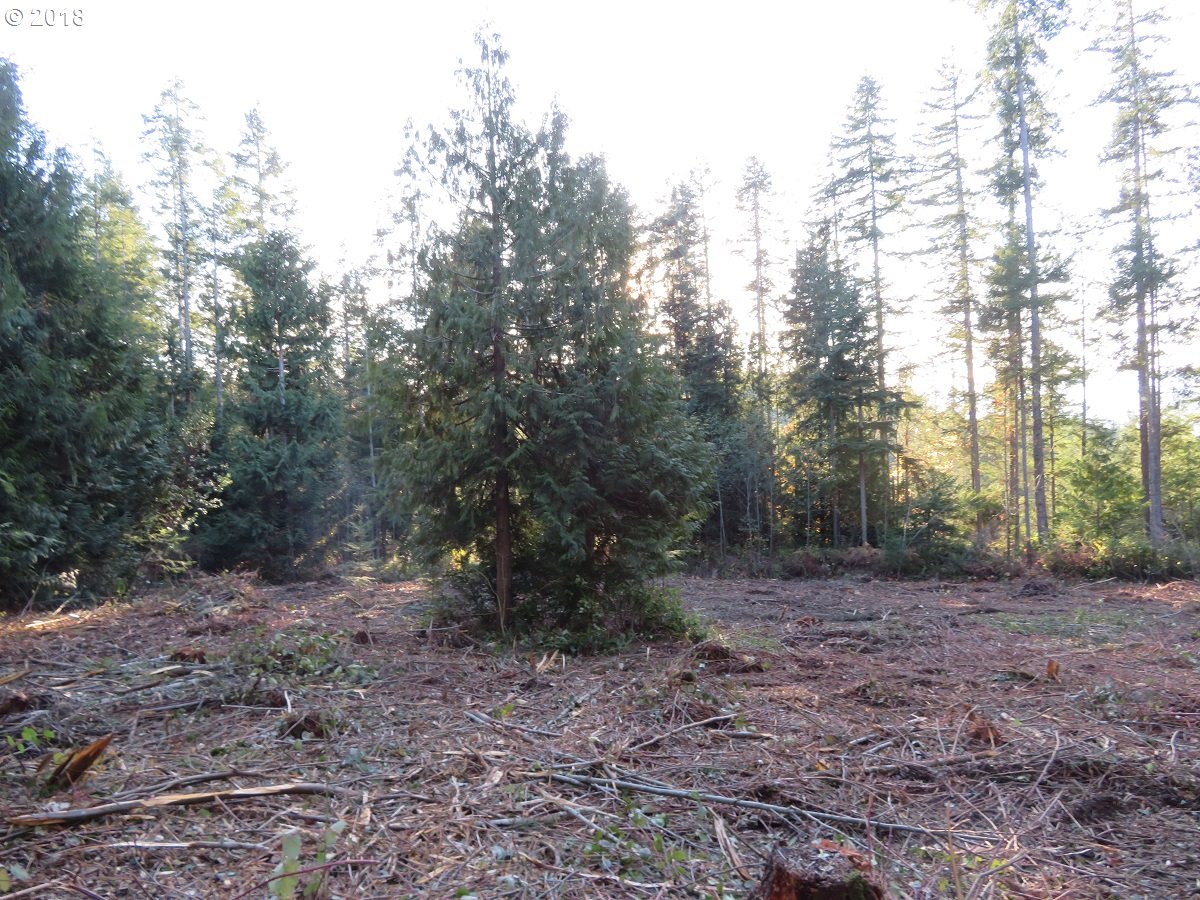 Lester Road Silverdale, WA 98383 - Photo 27 of 28 Gallery Image 27