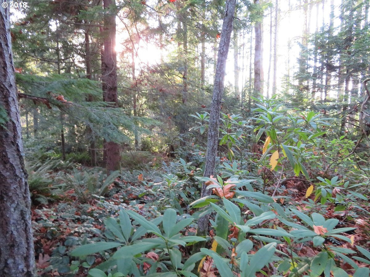 Lester Road Silverdale, WA 98383 - Photo 28 of 28 Gallery Image 28