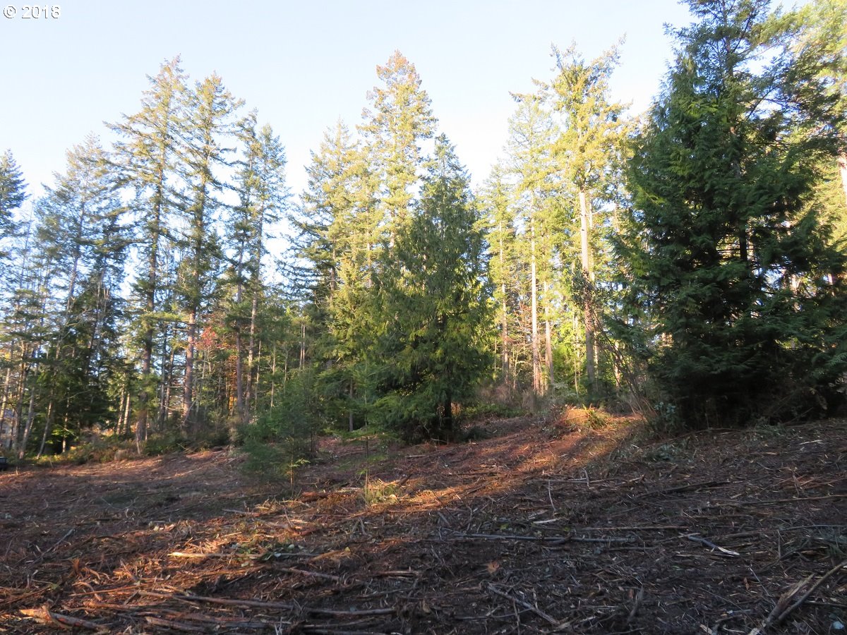Lester Road Silverdale, WA 98383 - Photo 5 of 28 Gallery Image 5