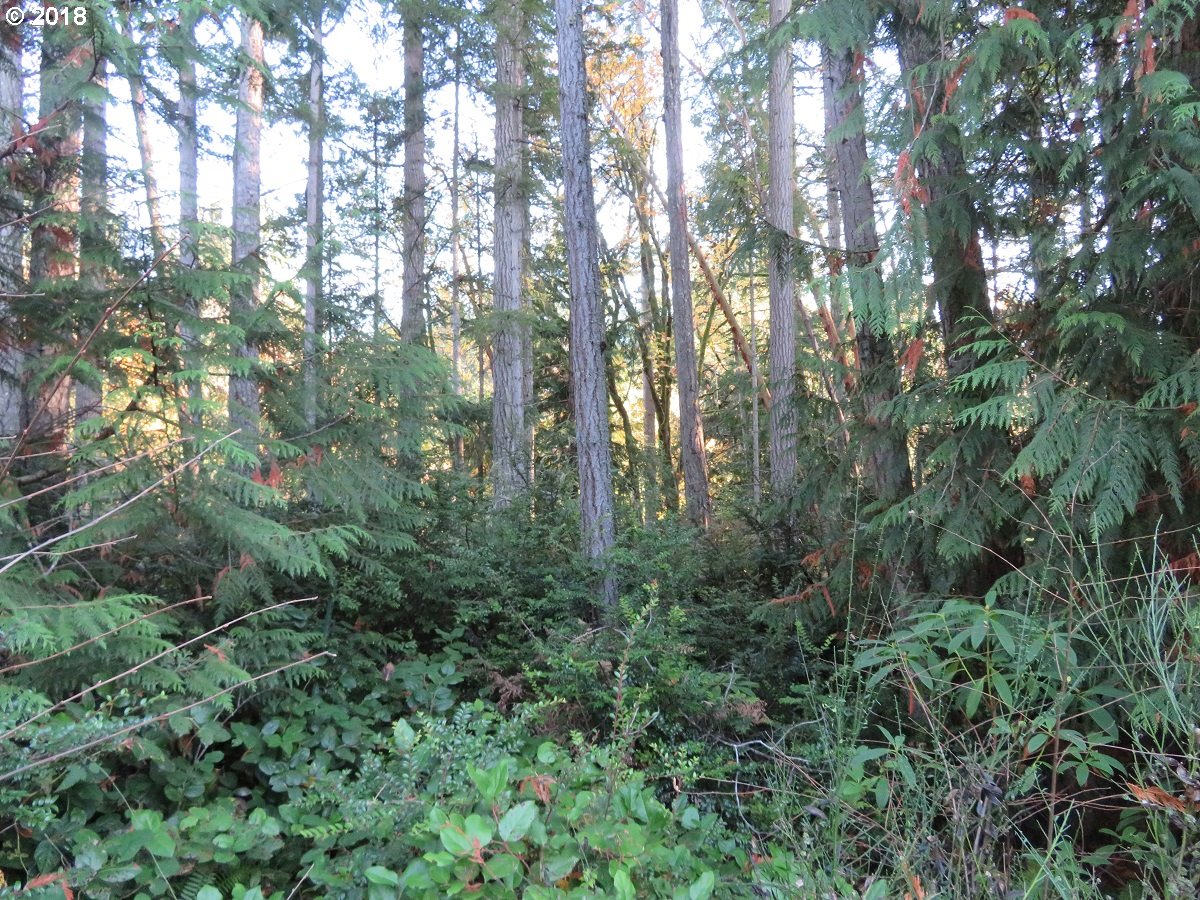 Lester Road Silverdale, WA 98383 - Photo 6 of 28 Gallery Image 6