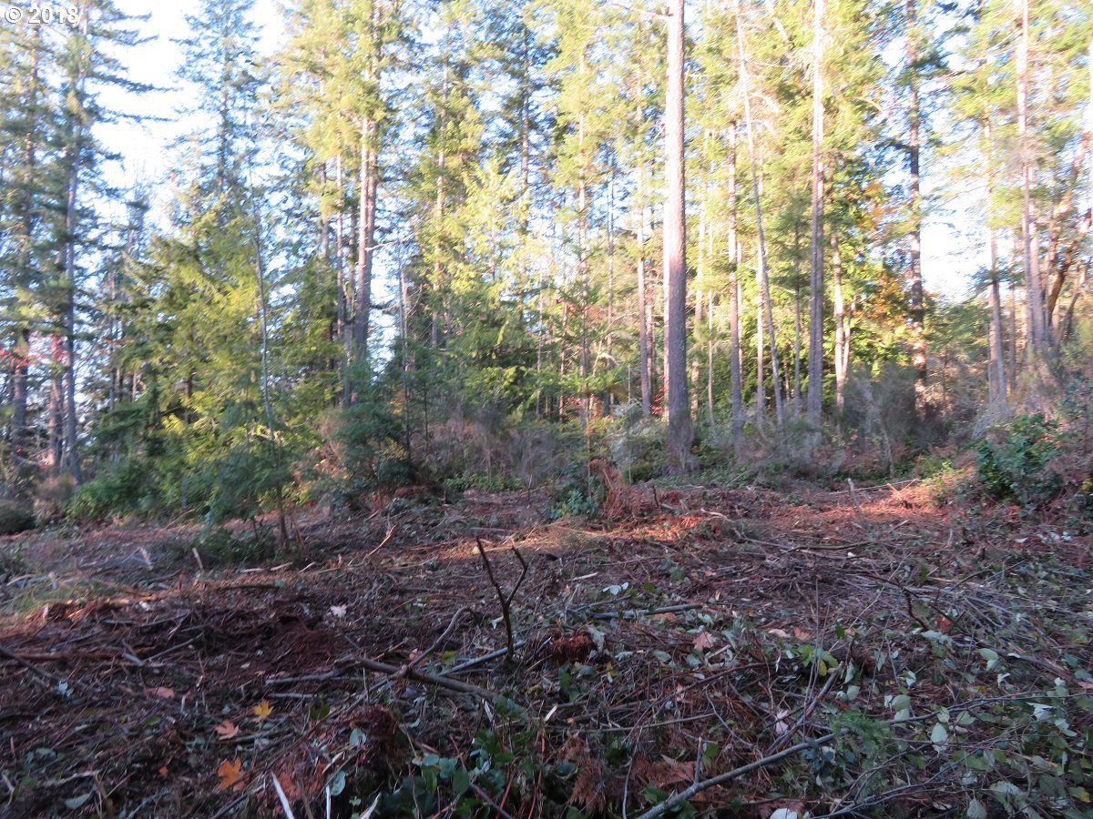 Lester Road Silverdale, WA 98383 - Photo 8 of 28 Gallery Image 8