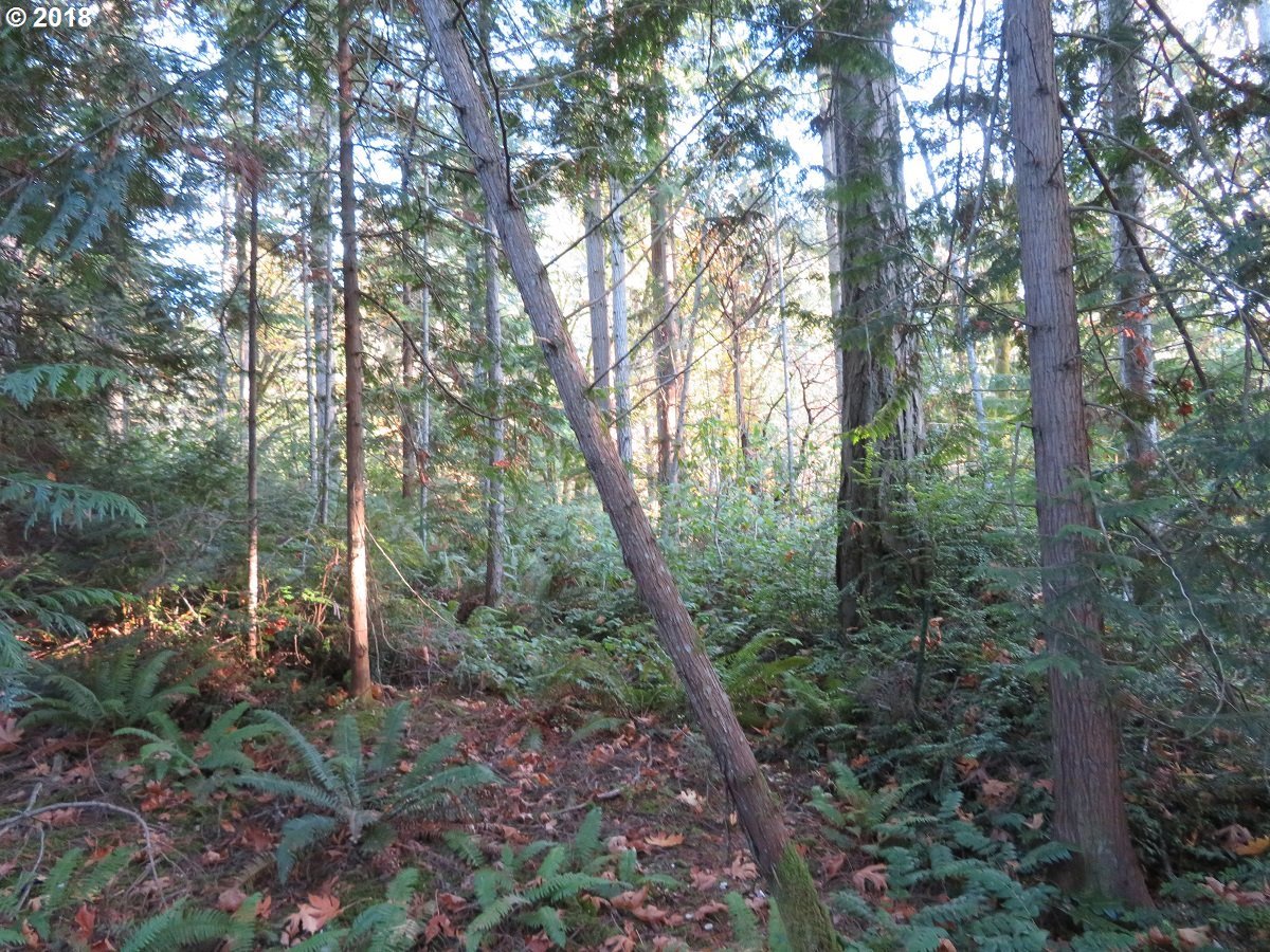 Lester Road Silverdale, WA 98383 - Photo 9 of 28 Gallery Image 9