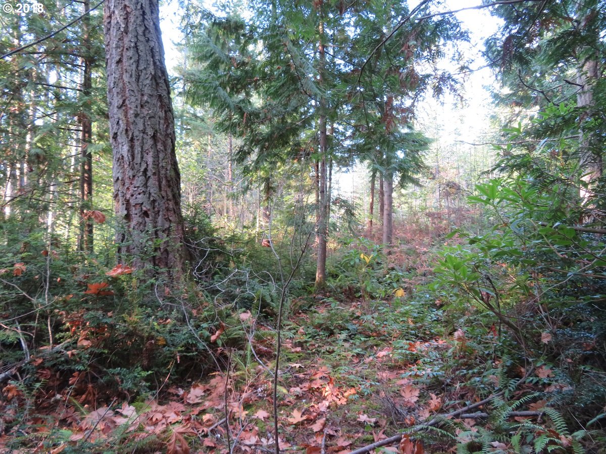 Lester Road Silverdale, WA 98383 - Photo 10 of 28 Gallery Image 10