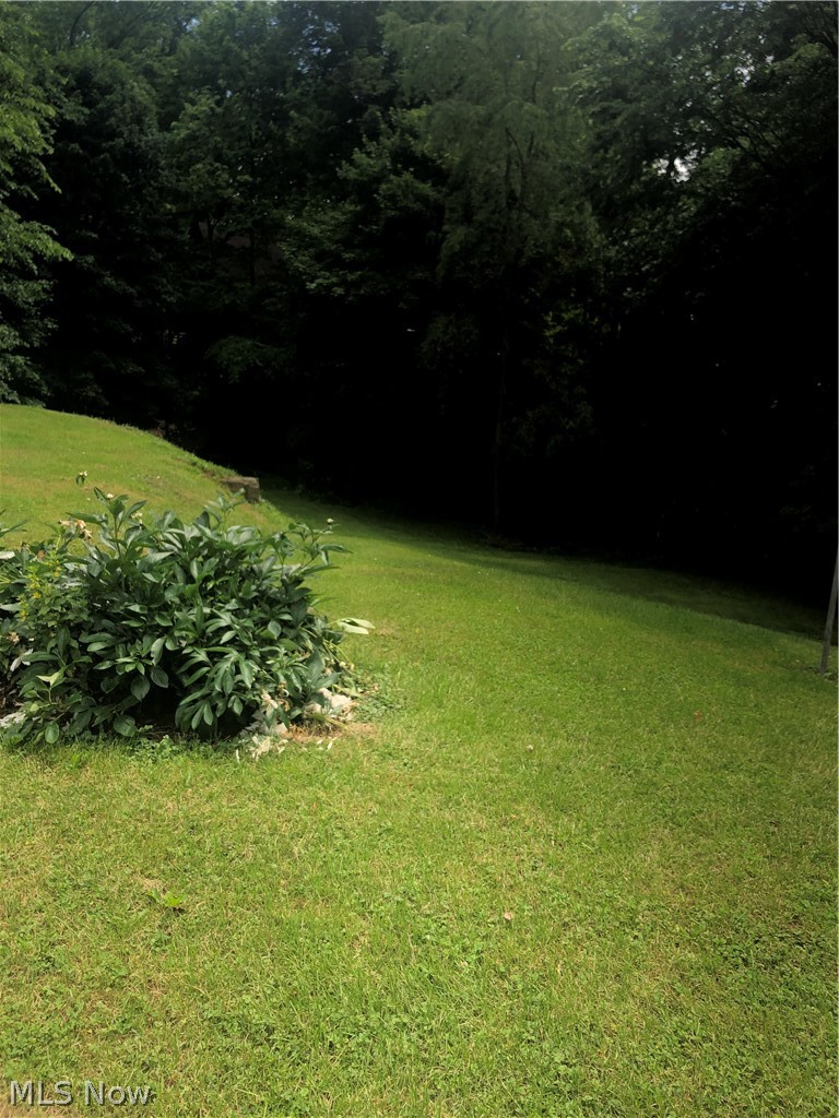 595 Robinson Road Wooster, OH 44691 - Photo 5 of 20 Backyard