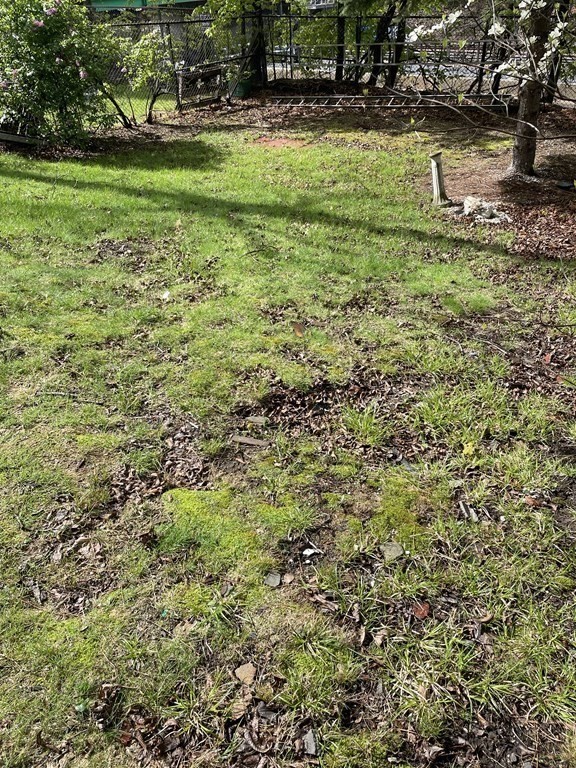 29 Hunter Street Newton, MA 02465 - Photo 10 of 10 a view of swimming pool with a yard