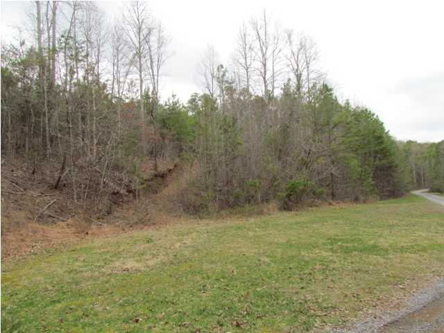 3193 Lower River Road Northwest Georgetown, TN 37336 - Photo 1 of 5 Primary Photo