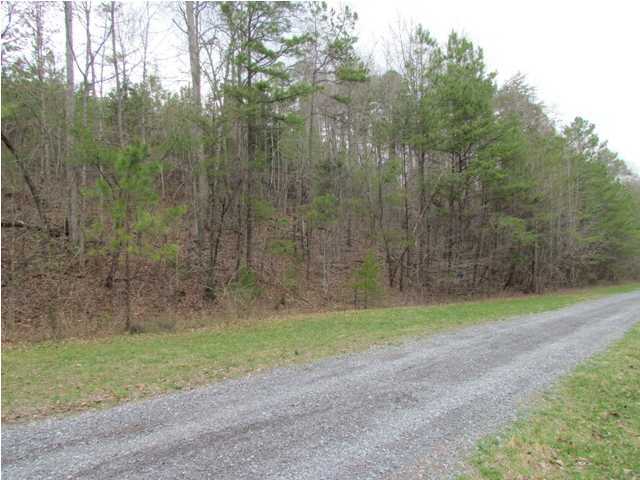 3193 Lower River Road Northwest Georgetown, TN 37336 - Photo 3 of 5 Additional Photo