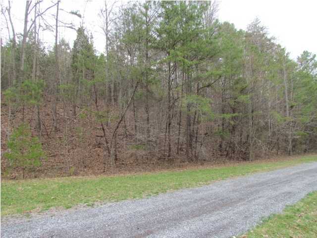 3193 Lower River Road Northwest Georgetown, TN 37336 - Photo 4 of 5 Additional Photo