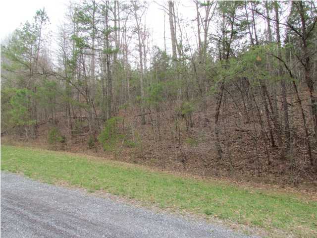 3193 Lower River Road Northwest Georgetown, TN 37336 - Photo 5 of 5 Additional Photo