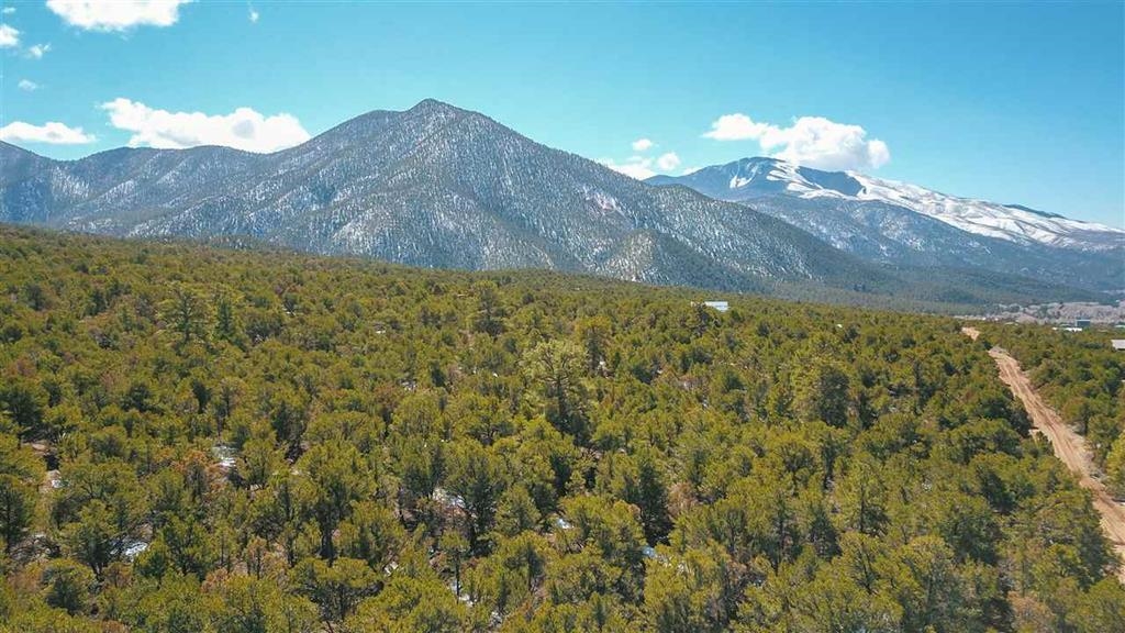Lot 41 Lower Pinabete Road Questa, NM 87556 - Photo 7 of 16