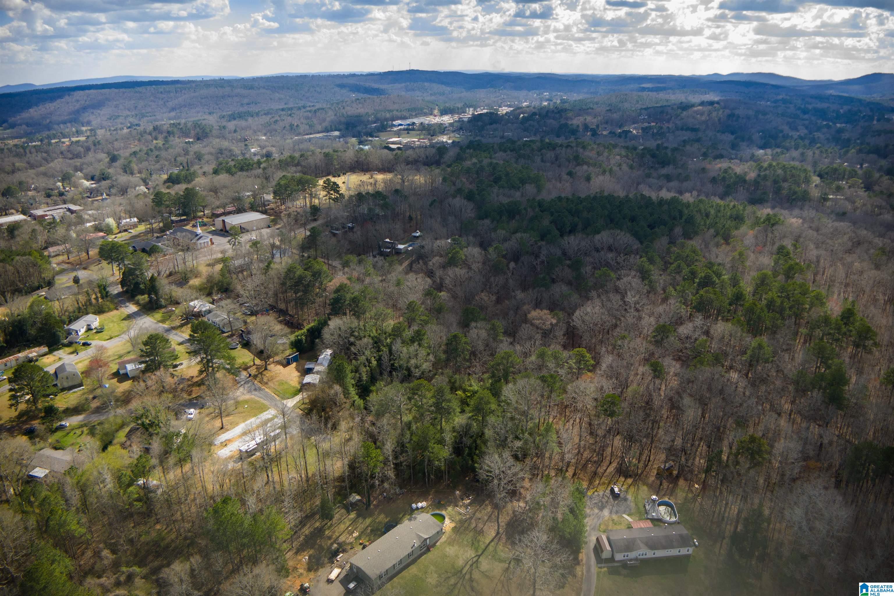 0 Norman Street Springville, AL 35146 - Photo 9 of 15