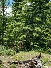 $117,500 | 3130 High Creek Road, Fairplay, CO 80440