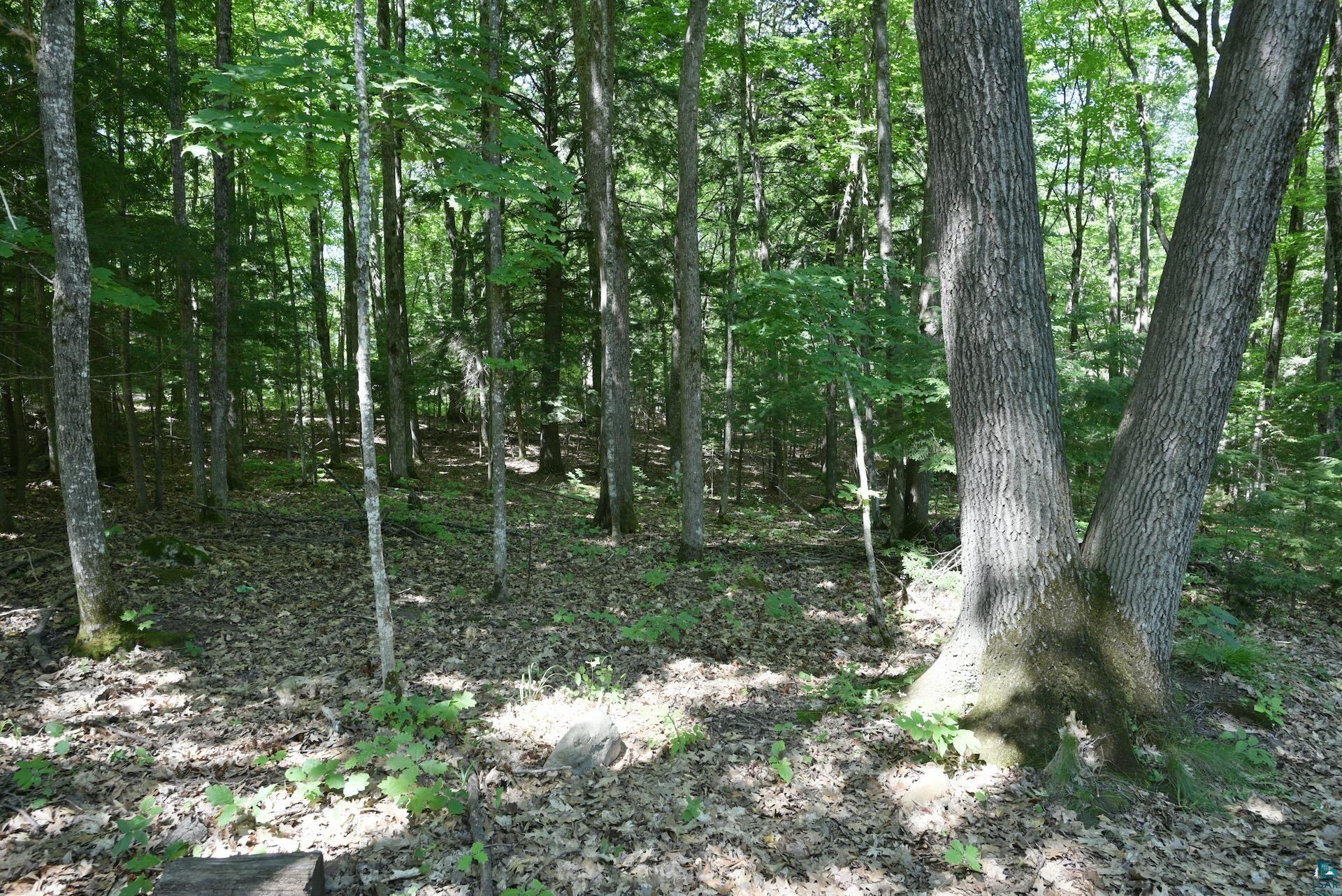 77545 West Maple Hill Road Washburn, WI 54891 - Photo 25 of 31
