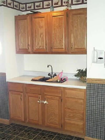 29700 Middle Crossing Road Dowagiac, MI 49047 - Photo 8 of 12 Additional Photo