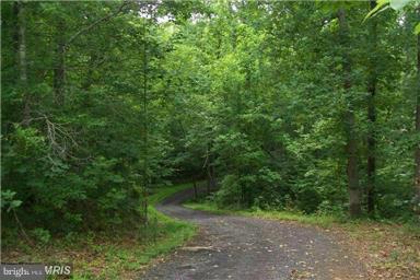 803 Turkey Ridge Road Castleton, VA 22716 - Photo 11 of 14 a view of a forest with a trees