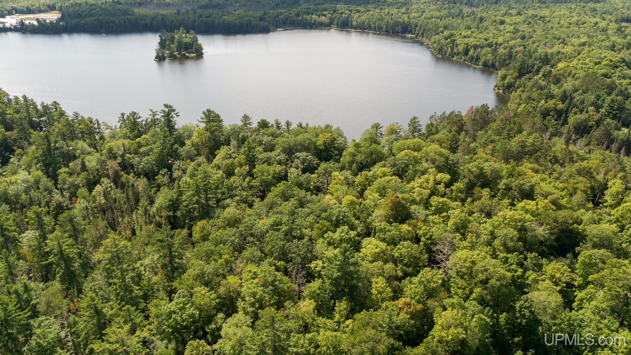 Tbd West Paint Lake Road Iron River, MI 49935 - Photo 13 of 14