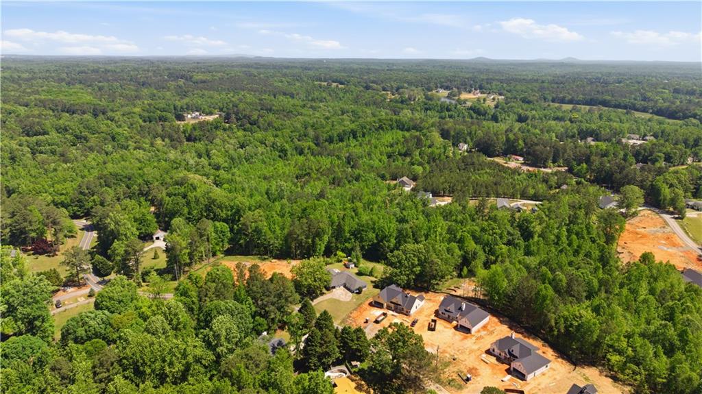 645 Clyde Cole Road Dallas, GA 30157 - Photo 35 of 36