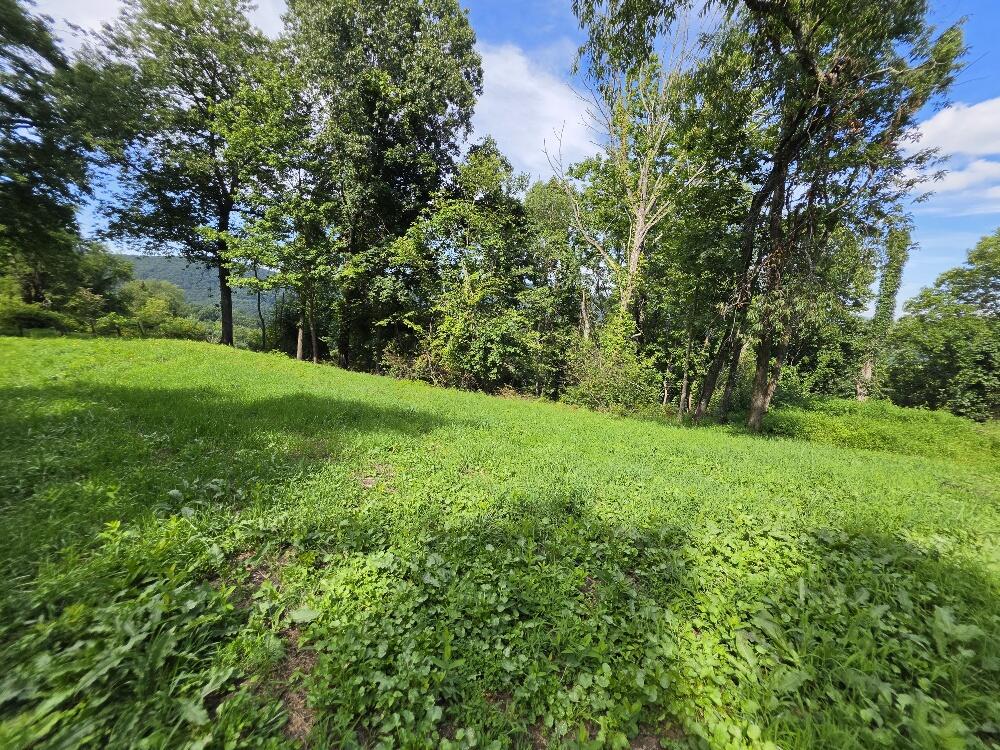 Tbd Elk View Road Elk Creek, VA 24326 - Photo 8 of 9 Gallery Image 8