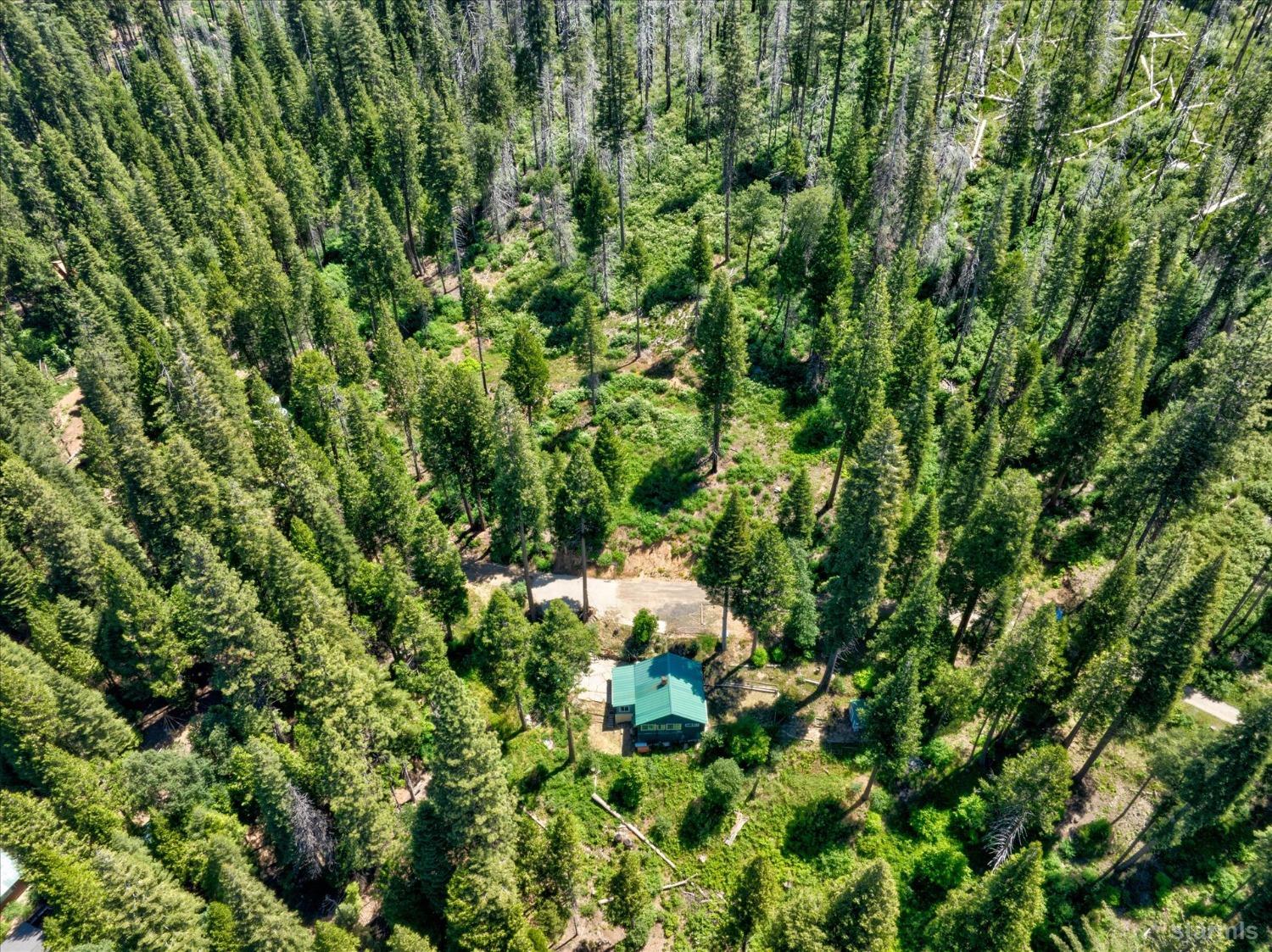 47824 Brammer-Purl Road Oakhurst, CA 93644 - Photo 29 of 38