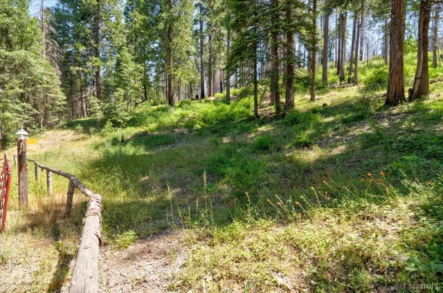 a view of yard with green space