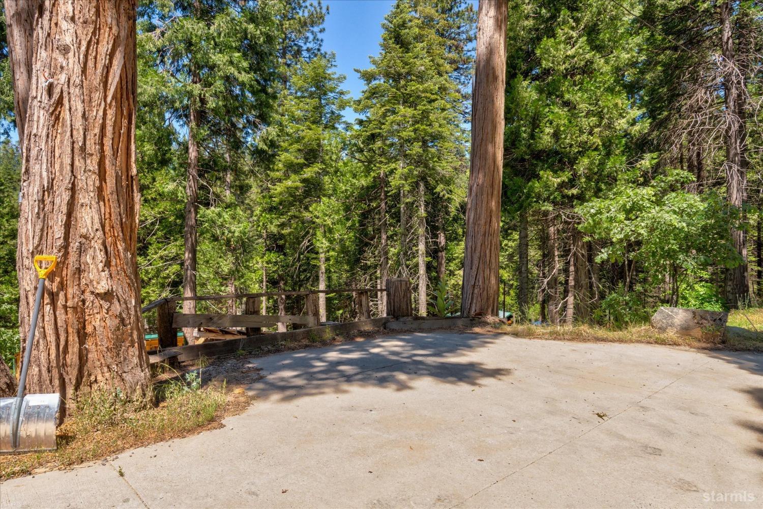 47824 Brammer-Purl Road Oakhurst, CA 93644 - Photo 3 of 40