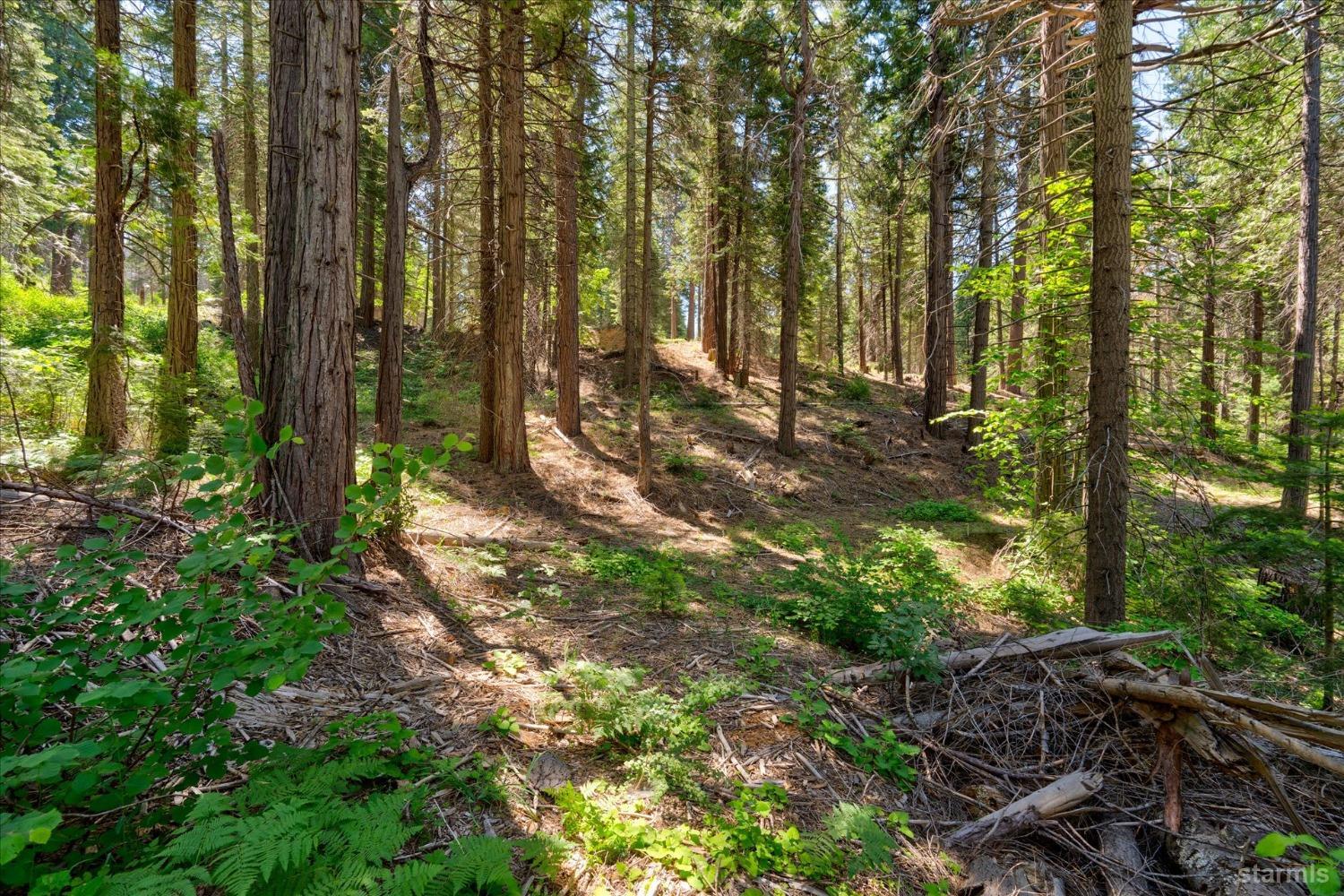 47824 Brammer-Purl Road Oakhurst, CA 93644 - Photo 32 of 38