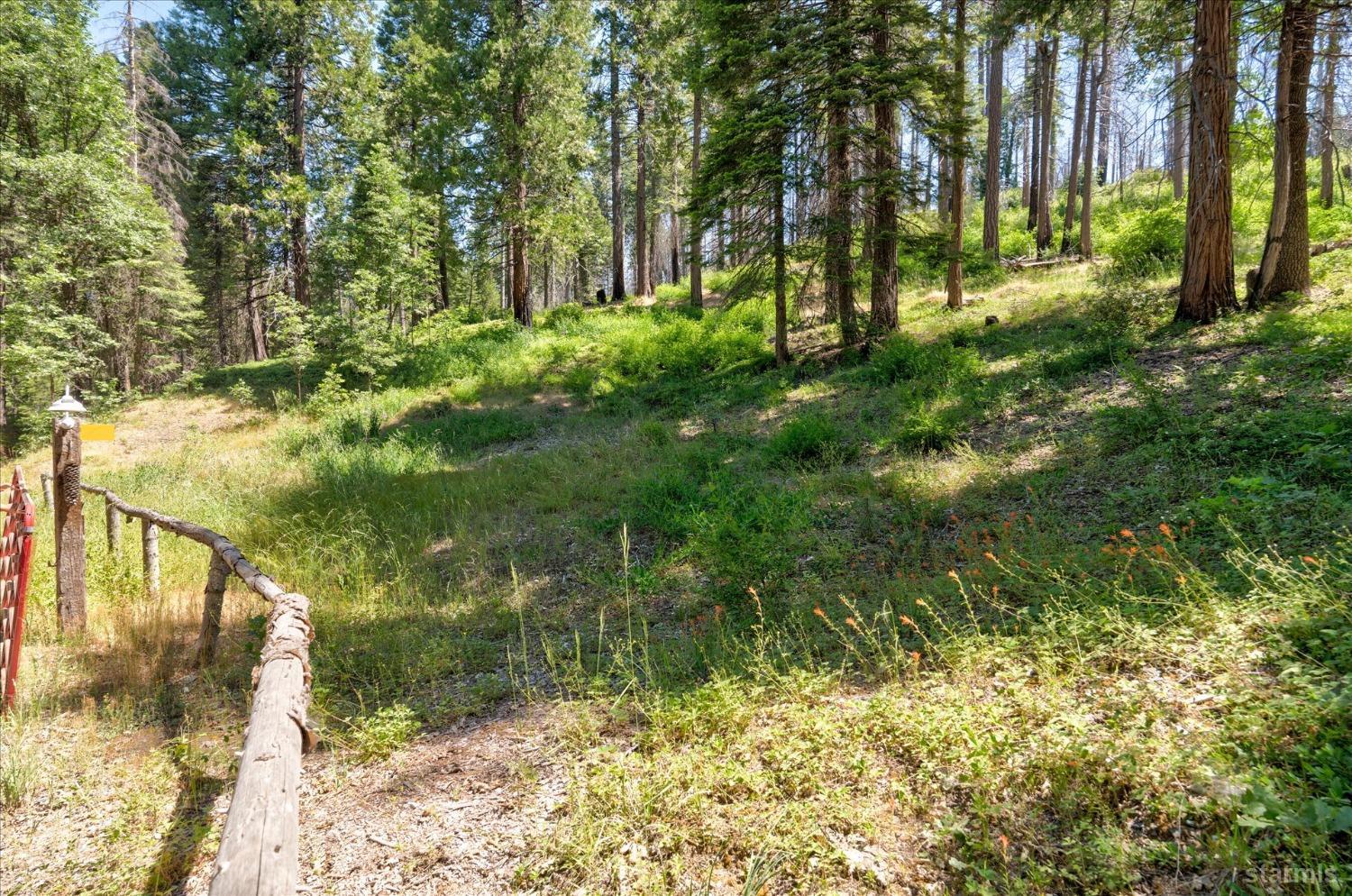47824 Brammer-Purl Road Oakhurst, CA 93644 - Photo 33 of 40