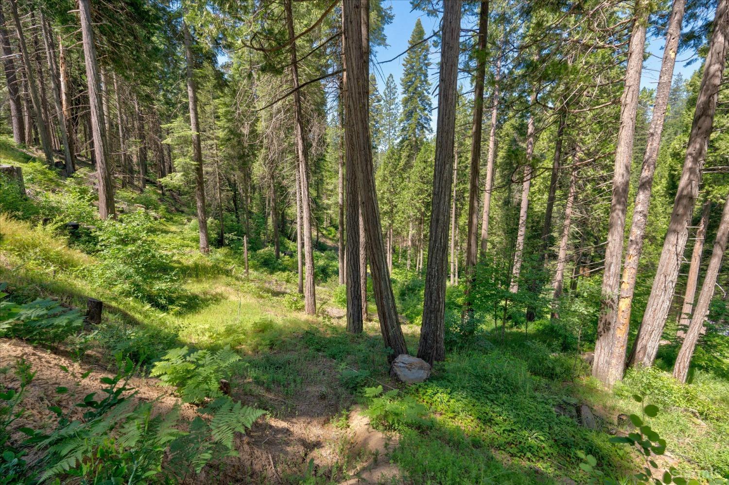 47824 Brammer-Purl Road Oakhurst, CA 93644 - Photo 34 of 40
