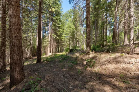 a view of outdoor space with trees