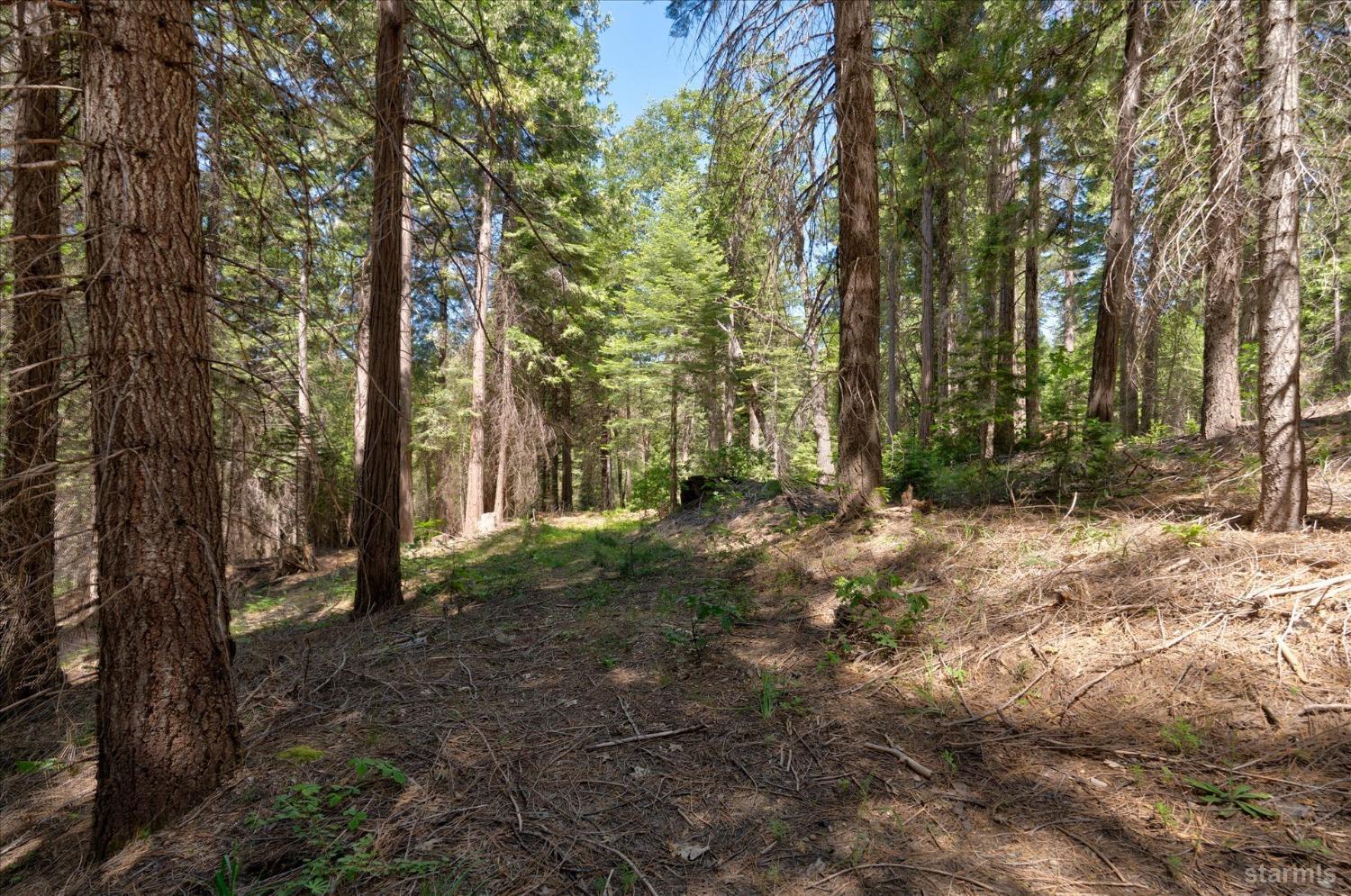 47824 Brammer-Purl Road Oakhurst, CA 93644 - Photo 37 of 40