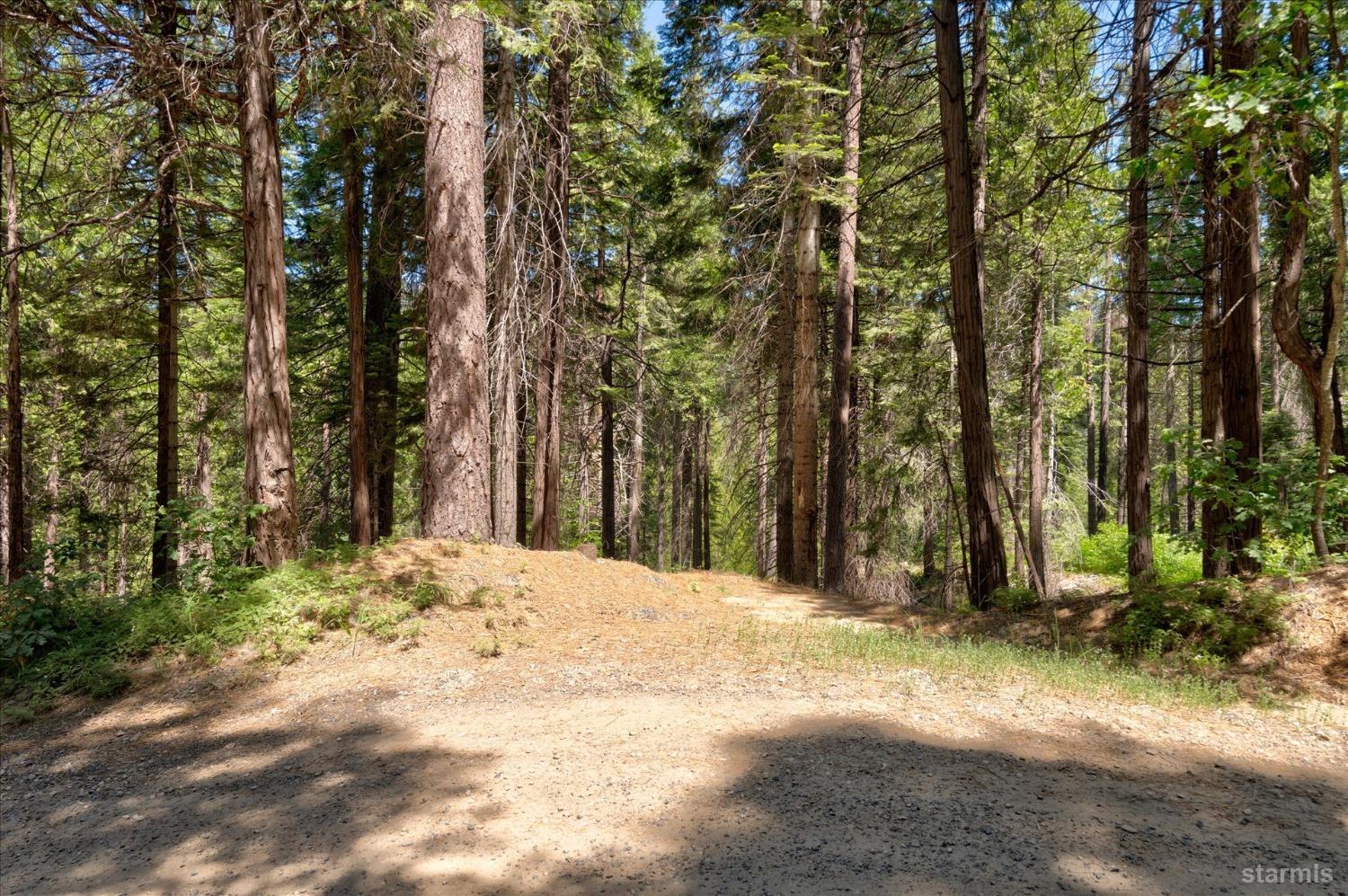 47824 Brammer-Purl Road Oakhurst, CA 93644 - Photo 38 of 40