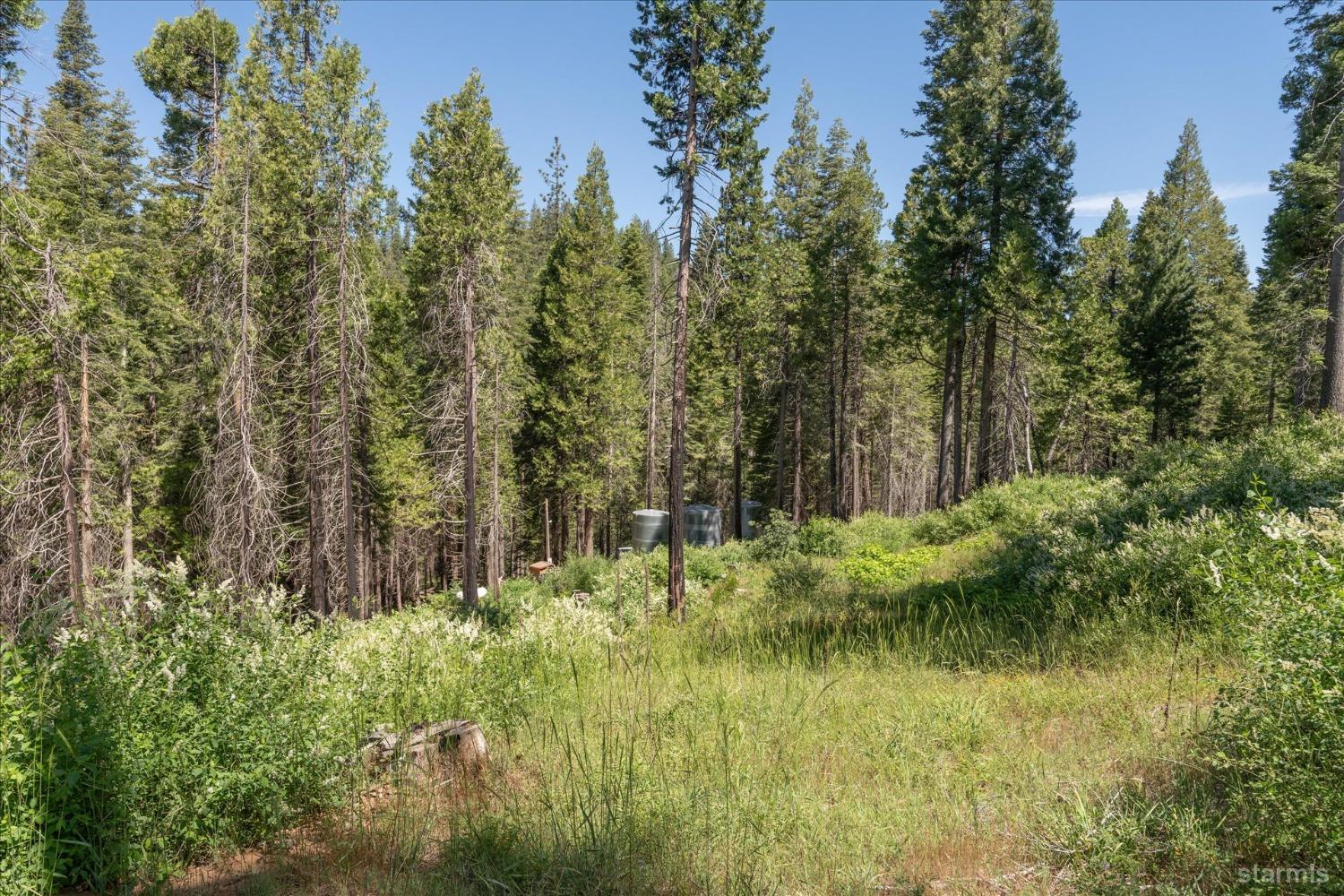 47824 Brammer-Purl Road Oakhurst, CA 93644 - Photo 39 of 40