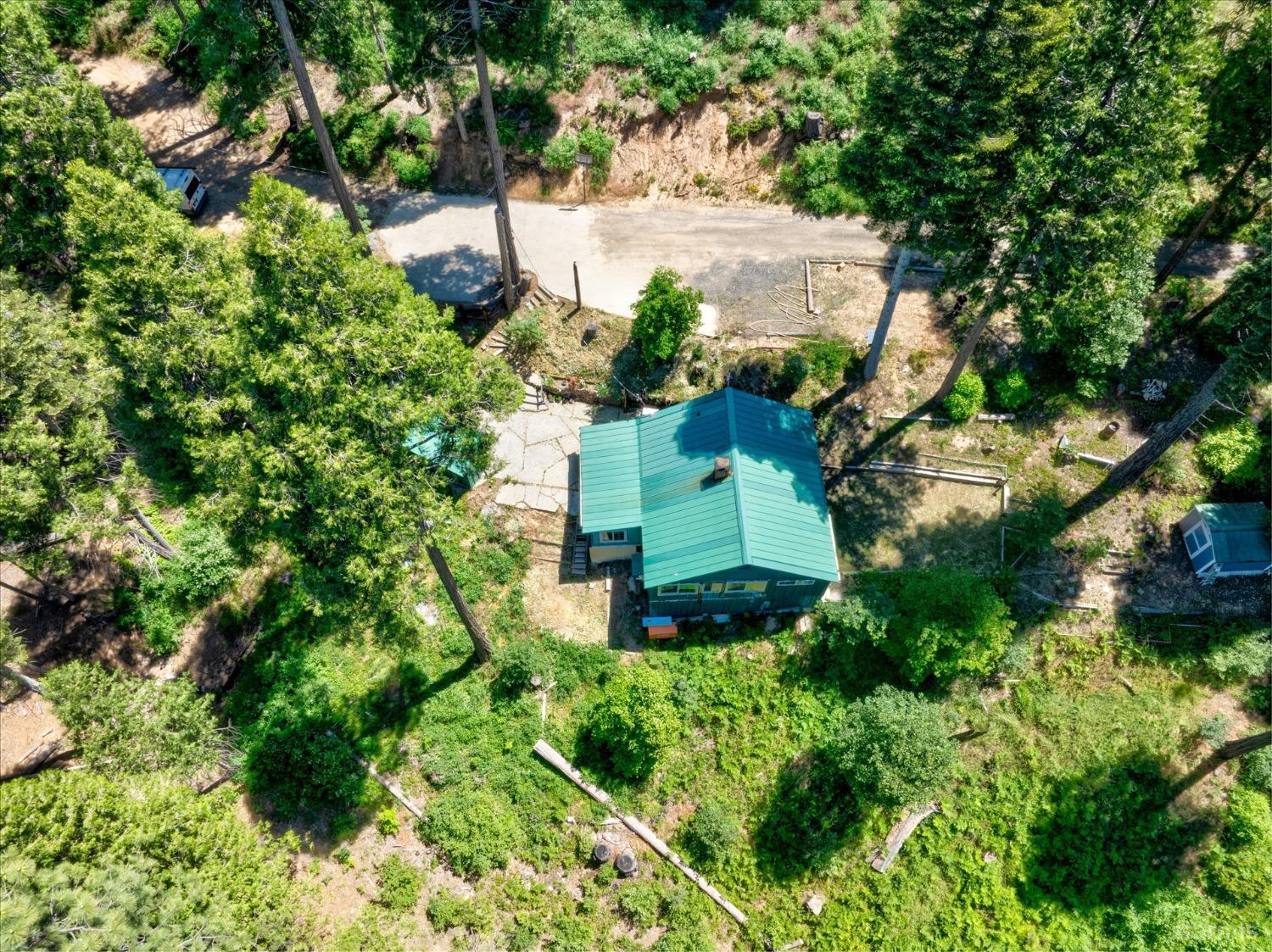 47824 Brammer-Purl Road Oakhurst, CA 93644 - Photo 7 of 40