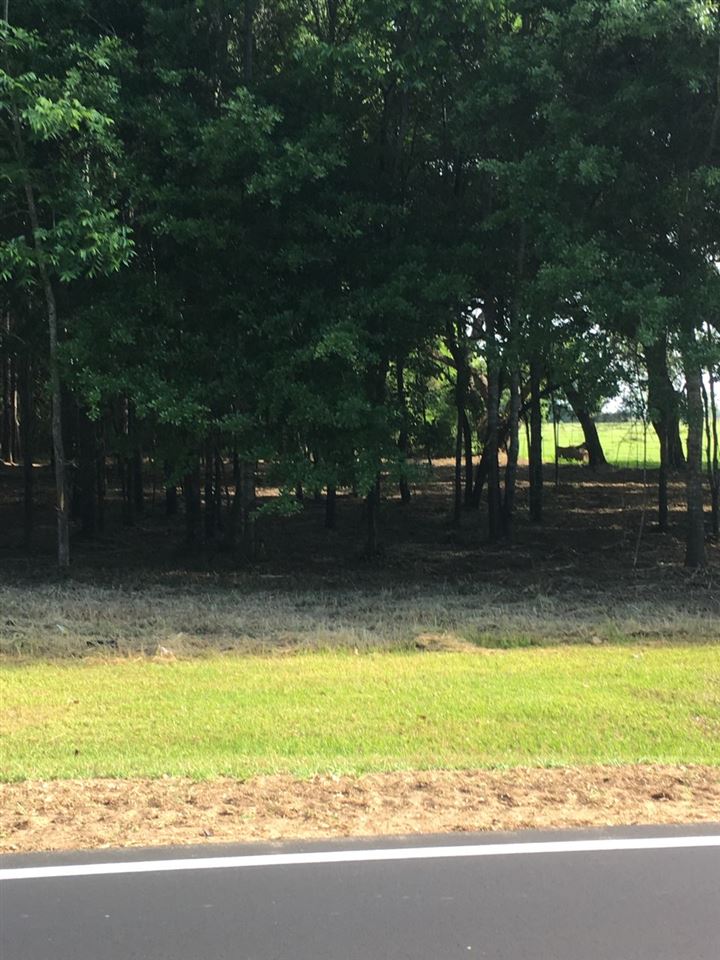 1 Long Road Summerdale, AL 36580 - Photo 4 of 6