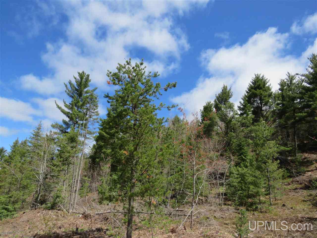 Tbd Tbd Off The Boise Route Road Negaunee, MI 49866 - Photo 35 of 45