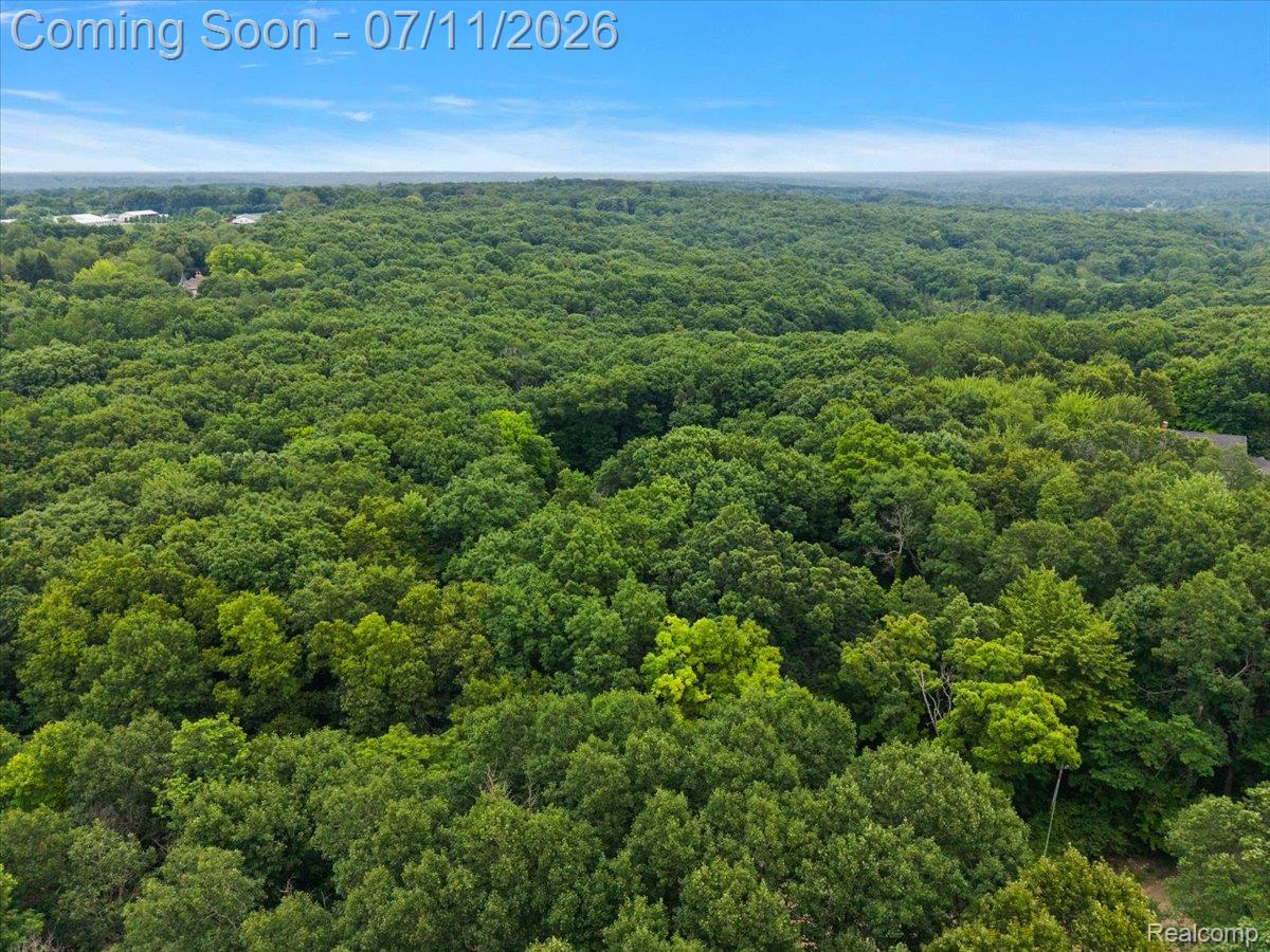 4219 Gardner Road Metamora, MI 48455 - Photo 84 of 87 Expansive wooded landscape featuring a dense canopy of mature trees under a clear blue sky